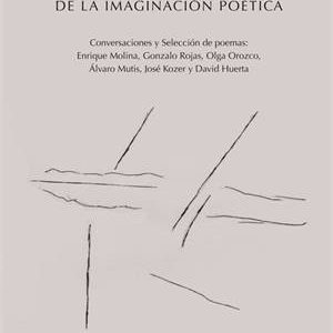 DE LA IMAGINACION POETICA